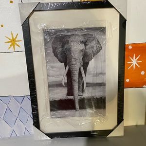 Elephant Painting